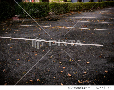 Empty Asphalt Parking Lot with White Lines and Autumn Leaves on Ground Empty Asphalt Parking Lot with White Lines and Autumn Leaves on Ground 137431252