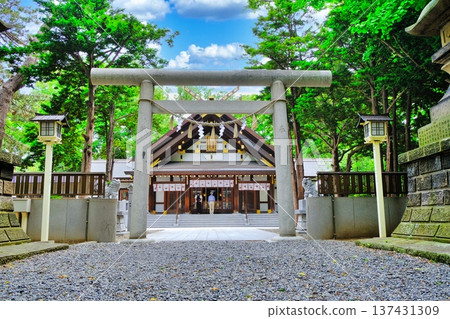 新琴通神社景色 137431309