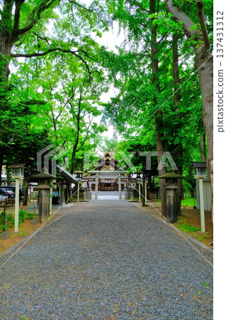 新琴通神社景色 137431312