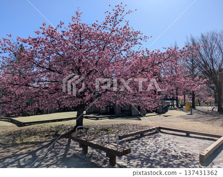 Spring Kotta Kaidori Fureai Square 137431362
