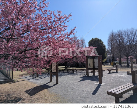 Spring Kotta Kaidori Fureai Square 137431363