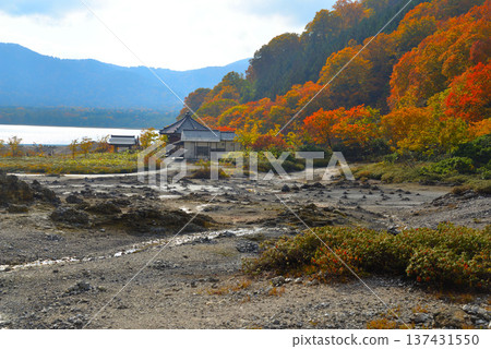 深秋時的御幸山（青森縣陸奧市） 137431550
