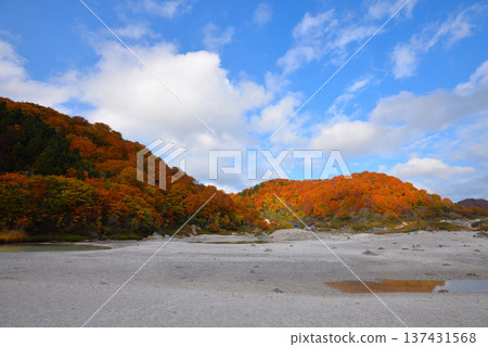 深秋時的御幸山（青森縣陸奧市） 137431568