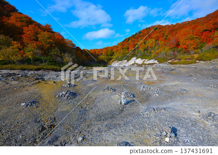 Mount Osore in late autumn (Mutsu City, Aomori Prefecture) 137431691