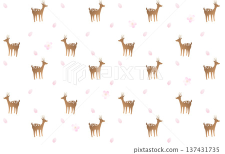 Deer and cherry blossoms 137431735