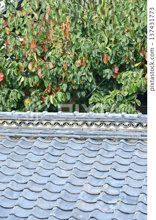 tiled roof tiled roof 137431773