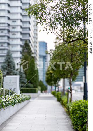 橫濱:一棟公寓的景色 橫濱:一棟公寓的景色 137431900