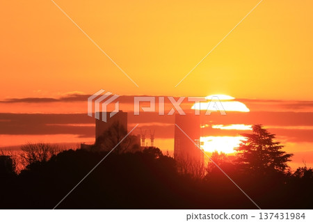 Sunrise Sunrise 137431984