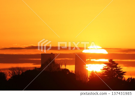 Sunrise Sunrise 137431985