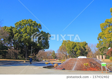 愛知縣名古屋市名城公園景色 137432402