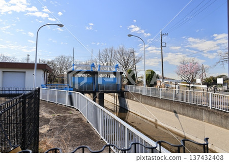 埼玉縣白岡市芝山伏峠的景色 埼玉縣白岡市芝山伏峠的景色 137432408