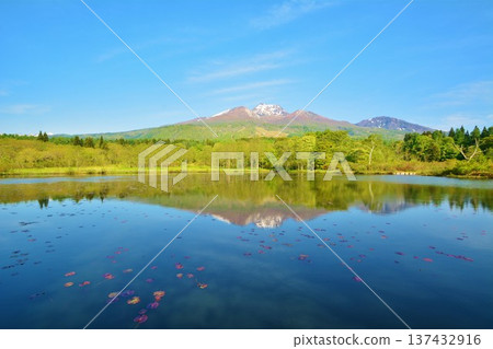 妙高高原的鬱鬱蔥蔥、伊森池和白雪皚皚的妙高山 妙高高原的鬱鬱蔥蔥、伊森池和白雪皚皚的妙高山 137432916