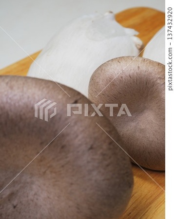 Fresh king oyster mushrooms Fresh king oyster mushrooms 137432920