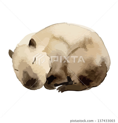 水豚的水彩插圖 水豚的水彩插圖 137433003