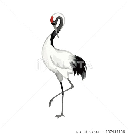 水彩風格的鶴插圖 137433138