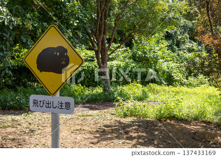 成田夢農場,八月:天竺鼠跳出警示牌 成田夢農場,八月:天竺鼠跳出警示牌 137433169