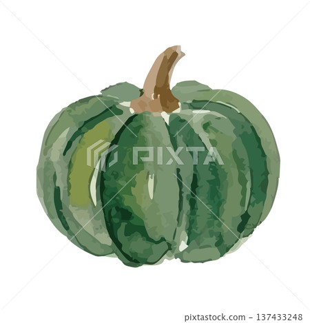水彩南瓜插圖 137433248