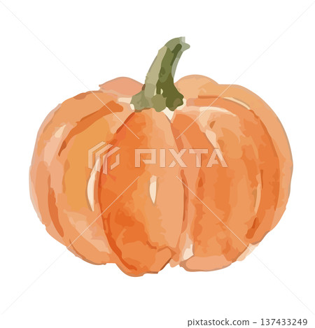 水彩南瓜插圖 137433249