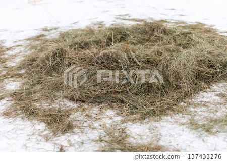 Winter rural textures. Frozen hay amidst sparse grass. Seasonal decay captured in winter landscape Winter rural textures. Frozen hay amidst sparse grass. Seasonal decay captured in winter landscape 137433276