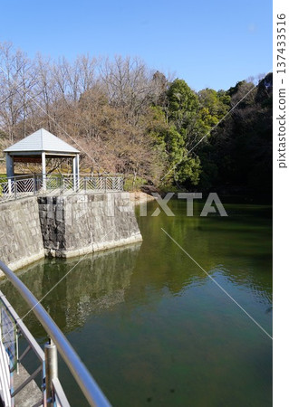 東京町田新光路新光路公園風景 137433516