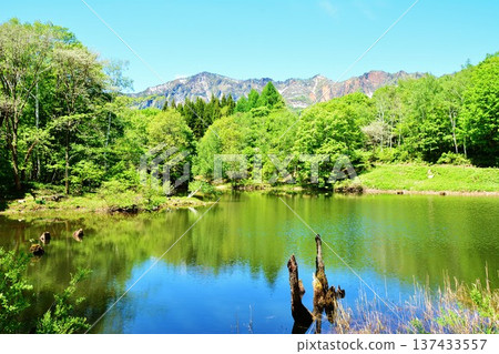 位於長野縣榮村秋山鄉偏僻地區的神秘池塘“天池”，綠意盎然，靜候您的到來。 137433557