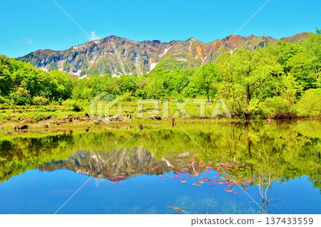 位於長野縣榮村秋山鄉偏僻地區的神秘池塘“天池”，綠意盎然，靜候您的到來。 137433559
