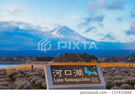 富士河口湖 137433666
