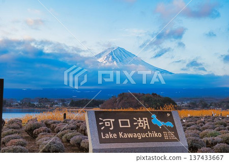 富士河口湖 富士河口湖 137433667
