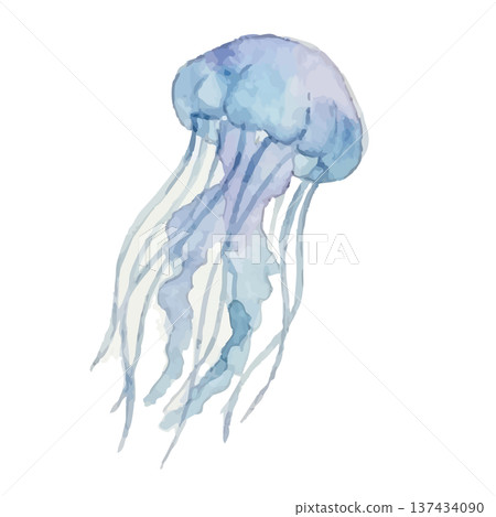 Watercolor style jellyfish illustration Watercolor style jellyfish illustration 137434090