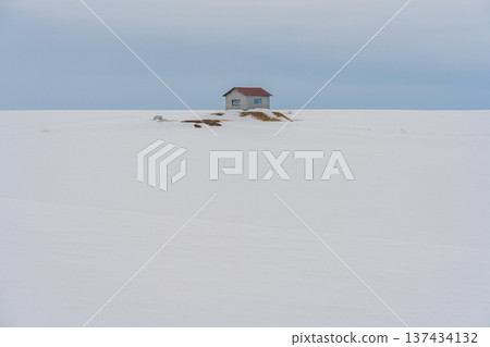 美瑛冬天的風景 美瑛冬天的風景 137434132
