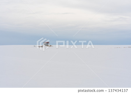美瑛冬天的風景 美瑛冬天的風景 137434137