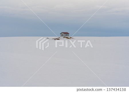 美瑛冬天的風景 美瑛冬天的風景 137434138