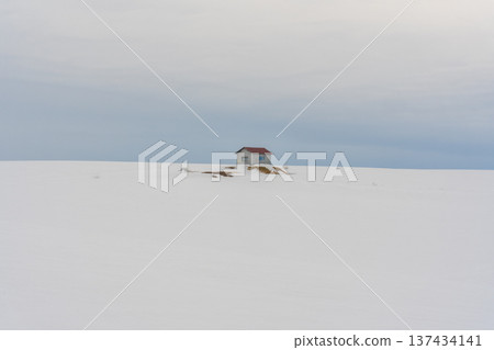 美瑛冬天的風景 美瑛冬天的風景 137434141