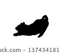 Stretching cat silhouette 137434181