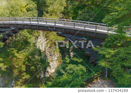 Kai's Saruhashi Bridge in summer: One of Japan's Three Most Unique Bridges Kai's Saruhashi Bridge in summer: One of Japan's Three Most Unique Bridges 137434289