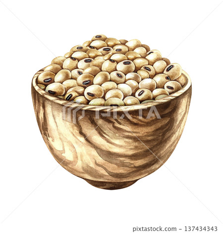 Soybeans in a wooden bowl. Hand-drawn watercolor illustration. Isolate. Perfect for creating product labels, posters, banners, menus, and more. 137434343