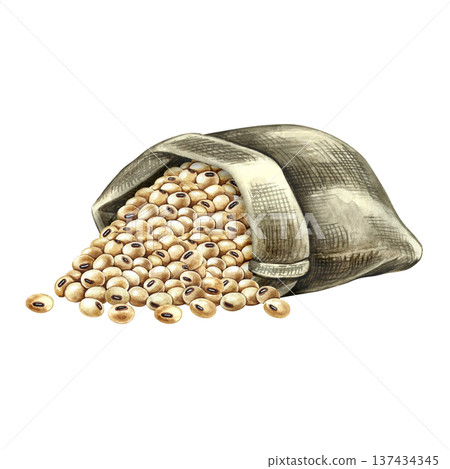Soybeans in an upended burlap bag. Hand-drawn watercolor illustration. Isolate. Perfect for creating product labels, posters, banners, menus, and more. Soybeans in an upended burlap bag. Hand-drawn watercolor illustration. Isolate. Perfect for creating product labels, posters, banners, menus, and more. 137434345