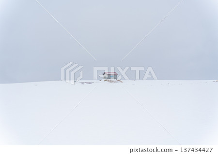 美瑛冬天的風景 137434427