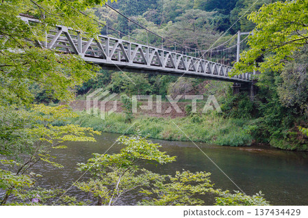 橫跨河流的楓橋吊橋 137434429