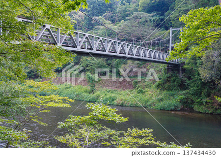 橫跨河流的楓橋吊橋 137434430
