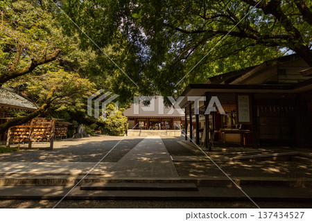 乃木神社八月神社景色 乃木神社八月神社景色 137434527