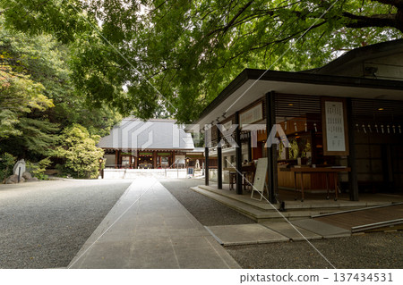 Nogi Shrine August grounds scenery 137434531