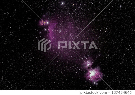 Orion Nebula Orion Nebula 137434645