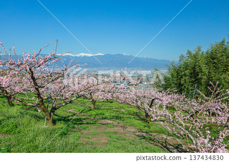 從桃花園眺望甲府盆地 從桃花園眺望甲府盆地 137434830