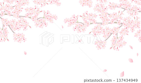 櫻花相框裝飾畫框插圖 137434949