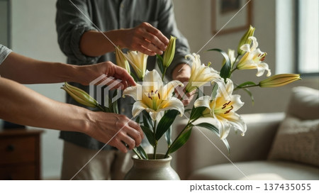Hands Arranging White Lilies in Vase at Home Hands Arranging White Lilies in Vase at Home 137435055