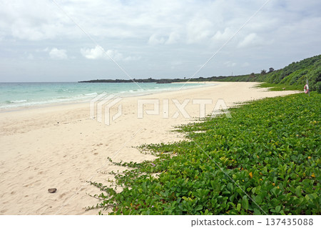 Beach beach of Toguchi 137435088