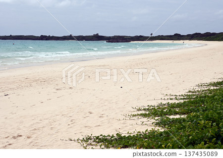 Beach beach of Toguchi Beach beach of Toguchi 137435089