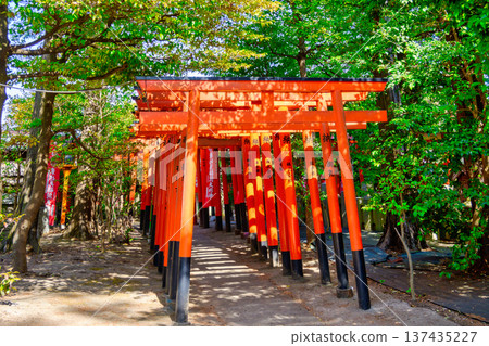 東京都、西東京市、東伏見稻荷神社、大塚舞裡、千本鳥居公園 137435227