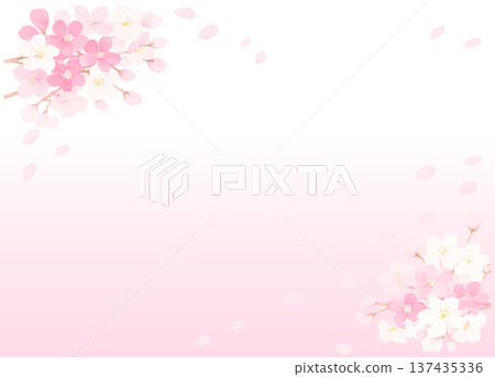 櫻花盛開的花瓣插圖。 櫻花盛開的花瓣插圖。 137435336